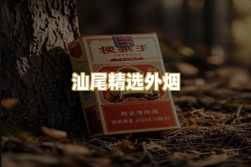 汕尾精选外烟